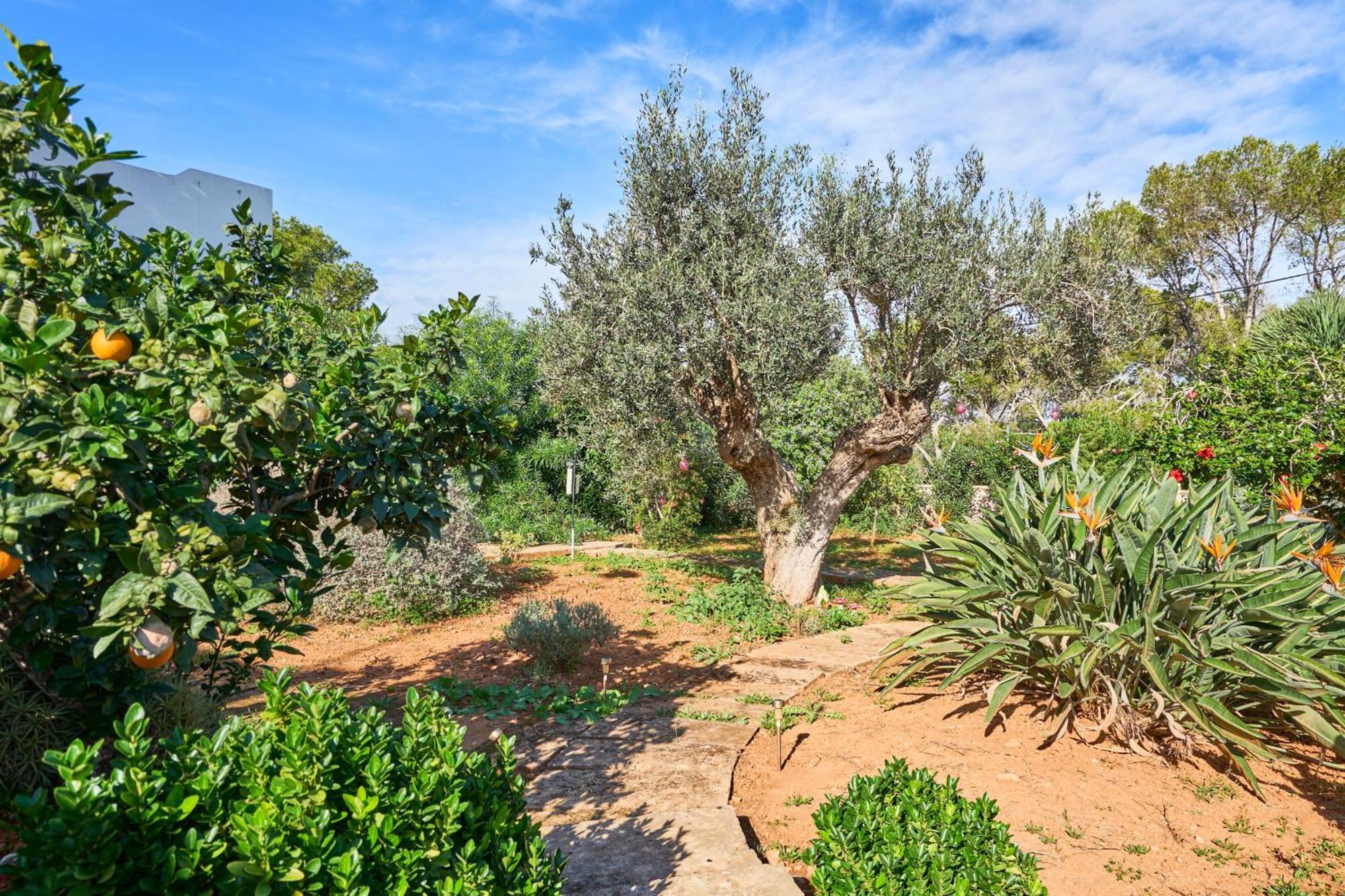 S'aguila Holiday home